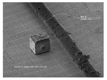 電子顕微鏡で見る世界最小のサイコロ