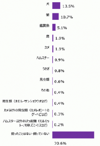 ランキング表